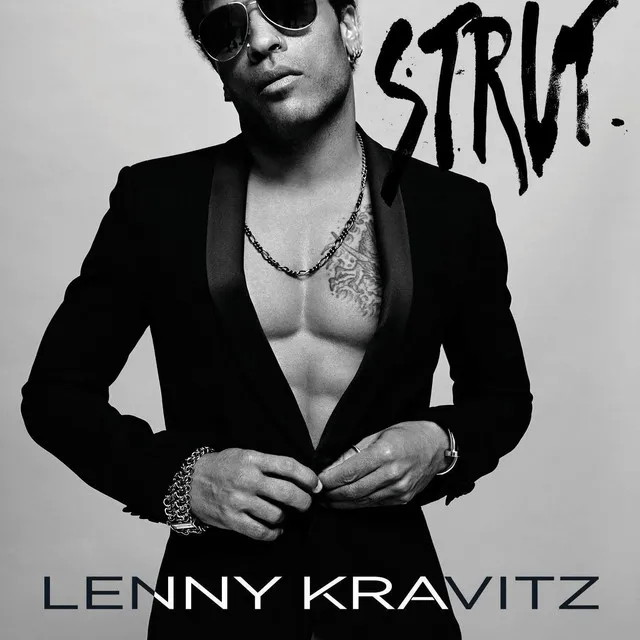 cover du titre de lenny kravits happy birthday