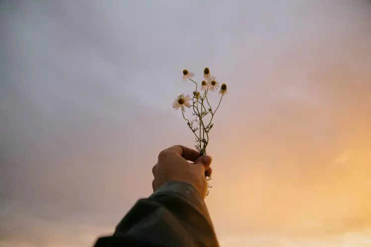 personne tenant une fleur dans la main en la pointant vers le ciel